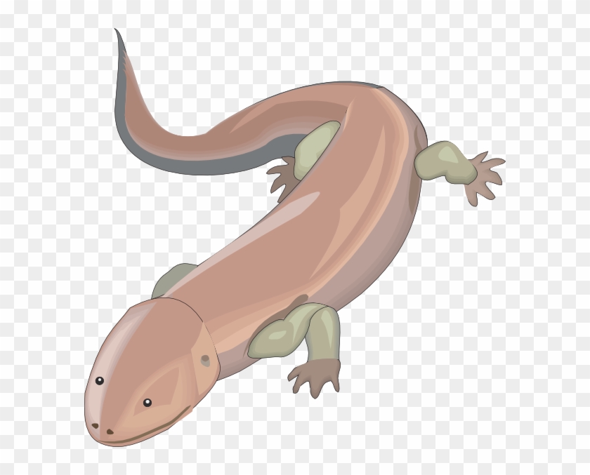 Chinese Giant Salamander Drawing #1383408