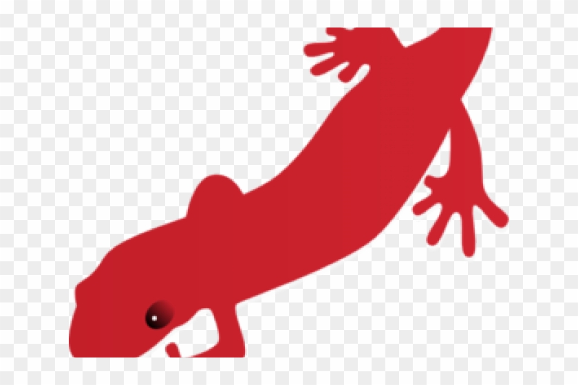 Gecko Clipart Salamander - Newt Clipart #1383416