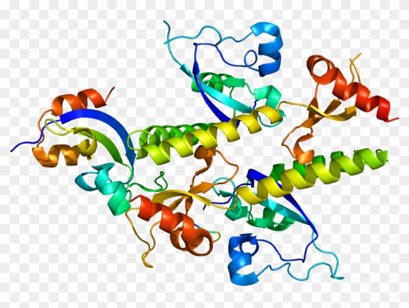 Gene Chd1 #1383703