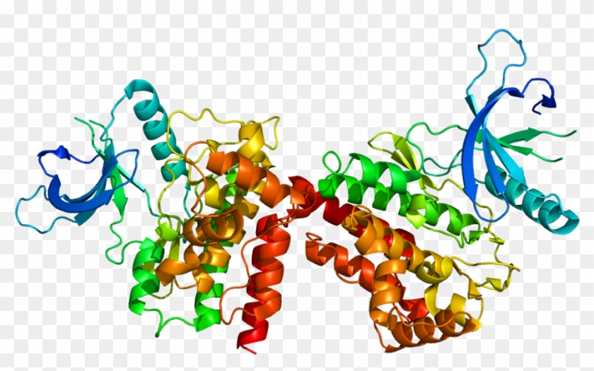 Janus Kinase 2 Structure #1384414