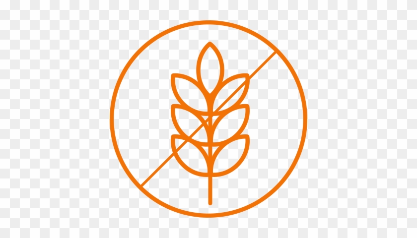 No Corn Or Wheat - Gluten Plant Png #1384518