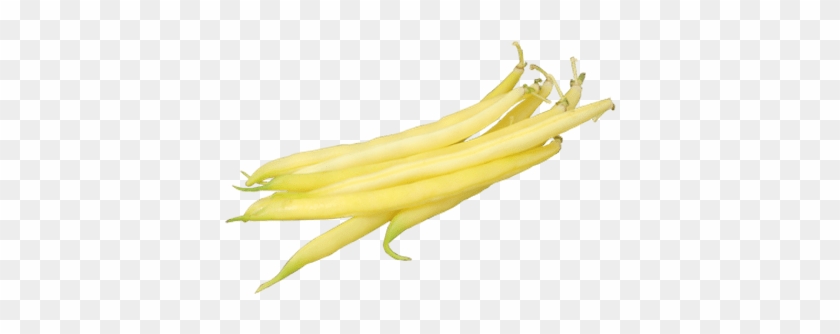 Green Beans Transparent Png Stickpng - Bean #1384526