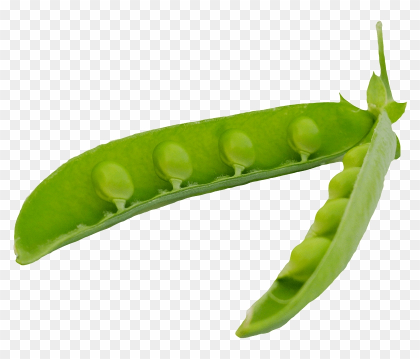 Peas Clipart Green Object - Pea Pod Png #1384548