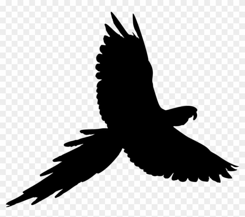 Medium Image - Parrot Fly Black Png #1384718