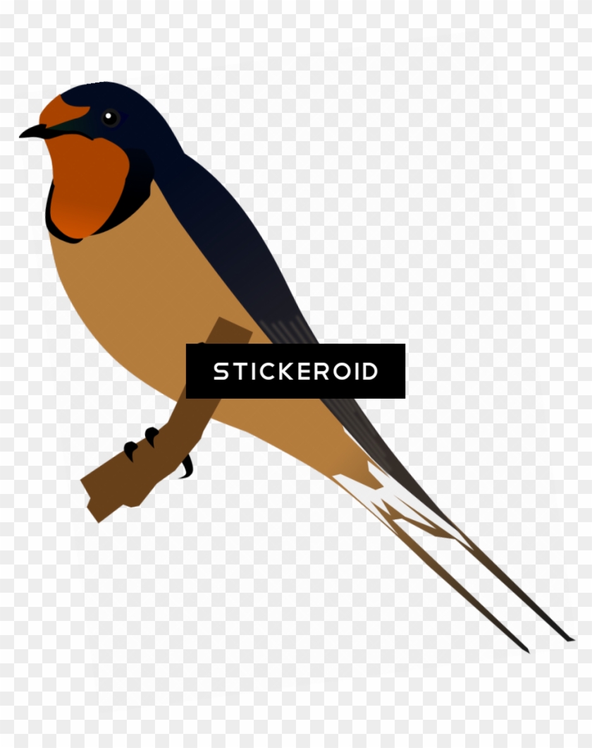 Bird Silhouette - European Swallow #1384735