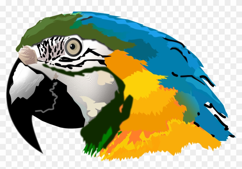 Arara Canind Inkscape - Parrot Head Clip Art #1384752