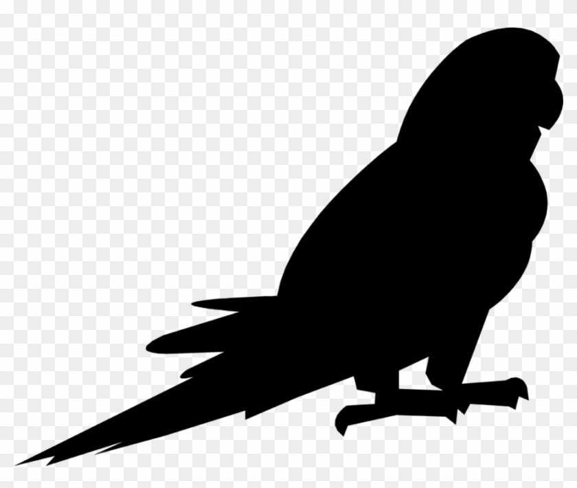 Beak Clipart Beak Fauna Clip Art - Clip Art #1384763