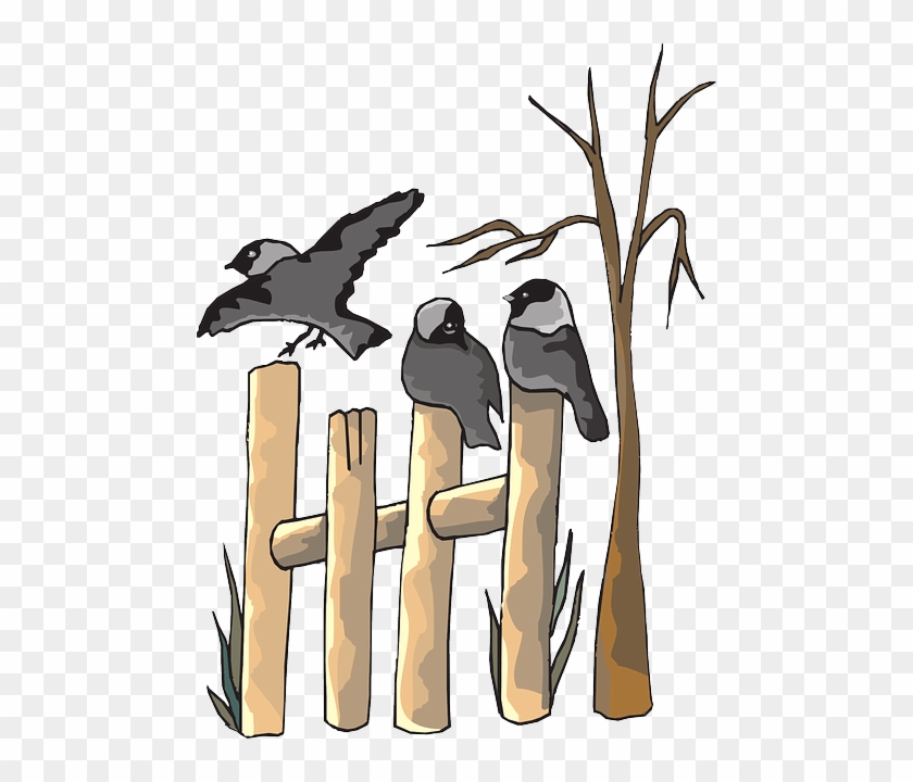 Birds On Fence Clipart #1384895