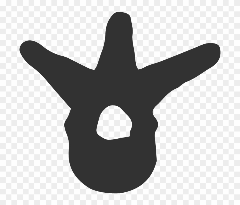 Chiropractic Chiropractic Free Transparent PNG Clipart