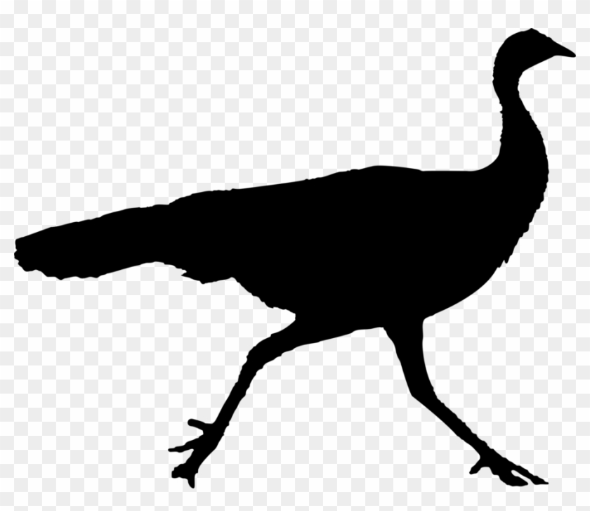 Cygnini Goose Beak Duck Bird - Clip Art #1385285