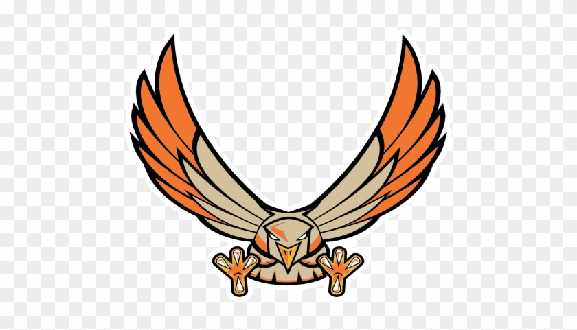 Hawk - Hawk #1385412