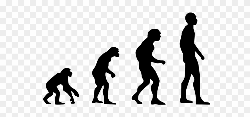 Evolution 2780651 1280 - Homo Sapiens Evolution Png #1385541