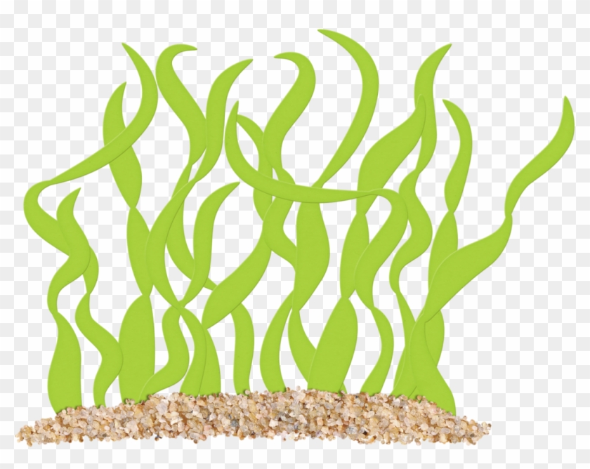 Яндекс - Фотки - Grass #1385660