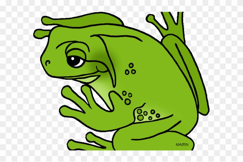 Amphibian Clipart Real Frog - Green Frog Clipart #1385895
