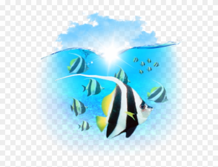 Marine Biology Clipart Computer Icons Clip Art - Coral Reef Fish #1386113