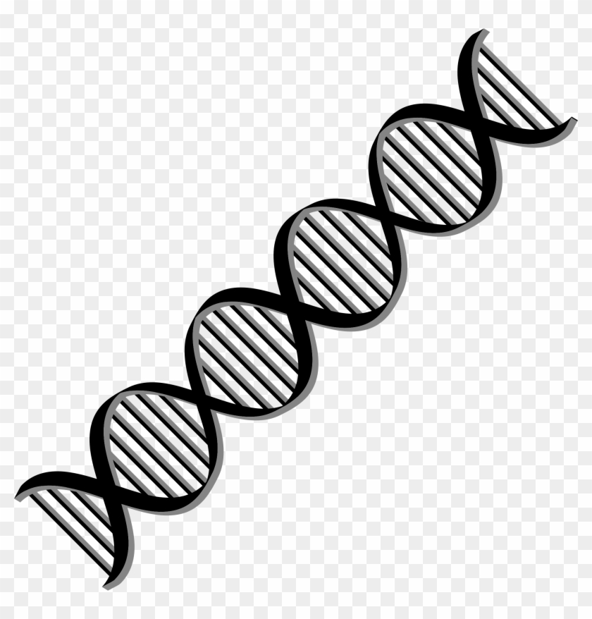Transparent Black And White Dna Clipart - Dna Helix Black And White #1386328