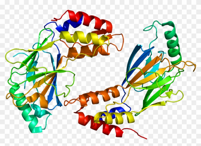 Protein Irf3 Pdb 1j2f - Janus Kinase Inhibitor #1386415