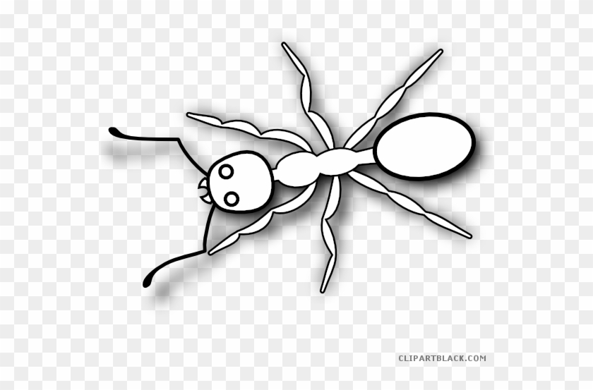 Banner Black And White Stock Ant Clipart Black And - Pencil Drawings Of Ant #1386607