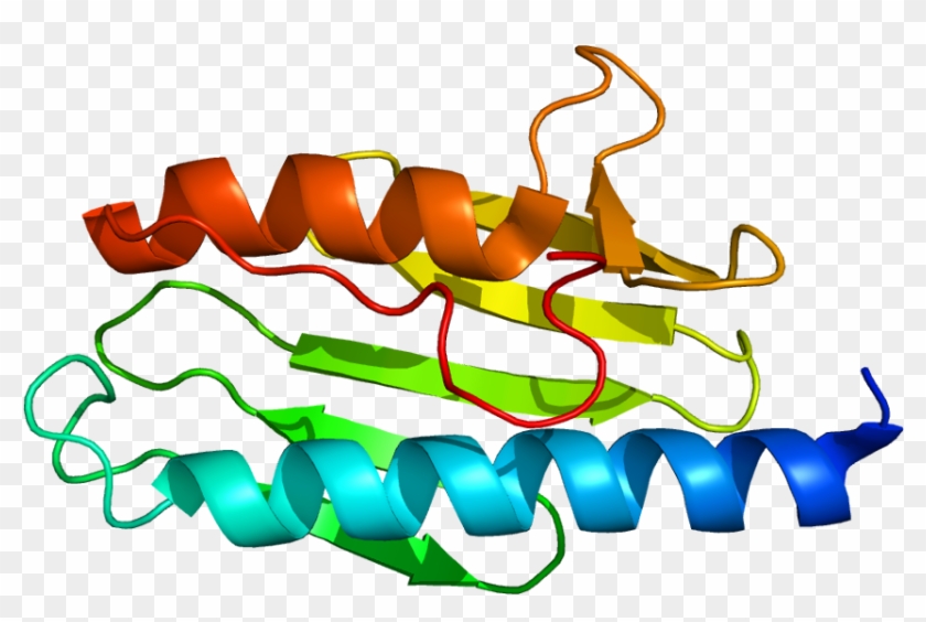 Friedreich's Ataxia Genetics #1386618