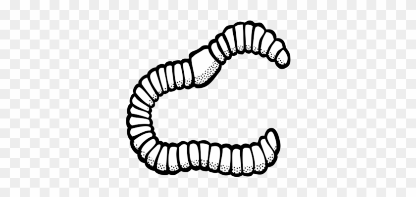 Earthworm Black And White Drawing - Clip Art Black And White Worm #1386697