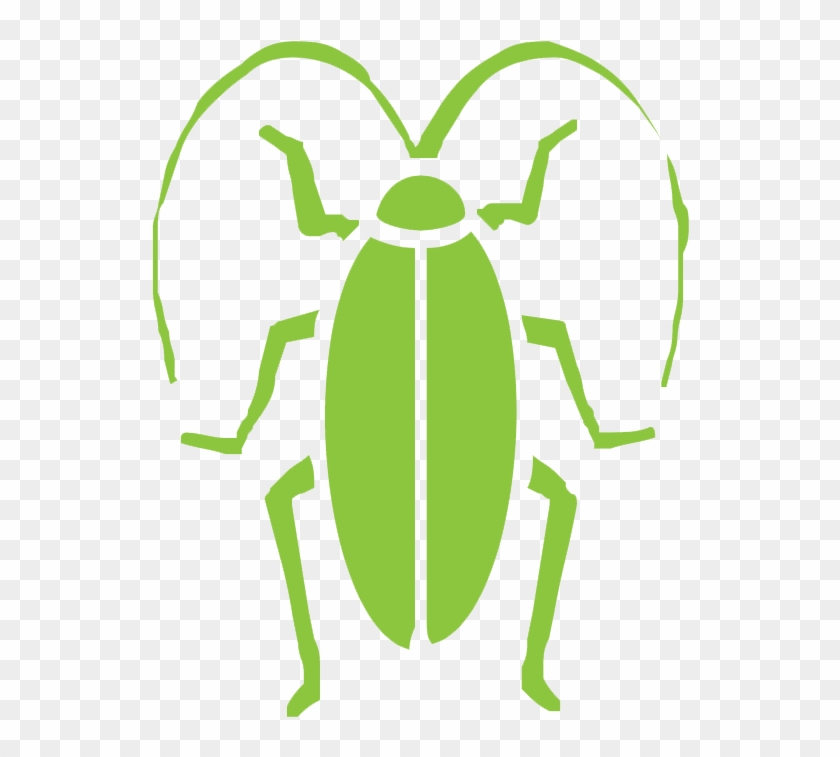 Cockroaches - Pest Control #1386862