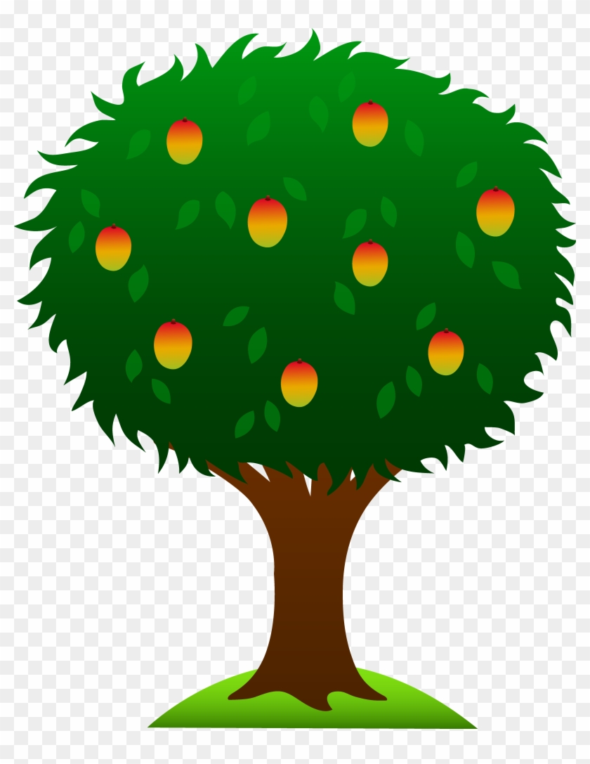Clipart Of Mango Tree With Ripe Fruits Free Clip Art - Drawing Of Mango Tree #215564