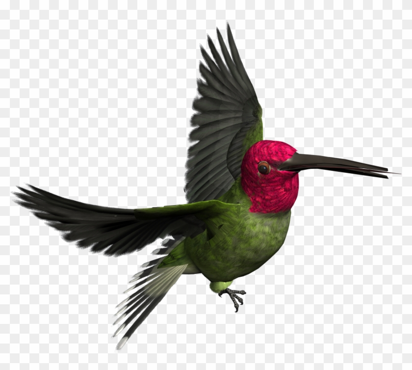 Realistic Birds Cliparts - Woodpeckers Transparent #216143