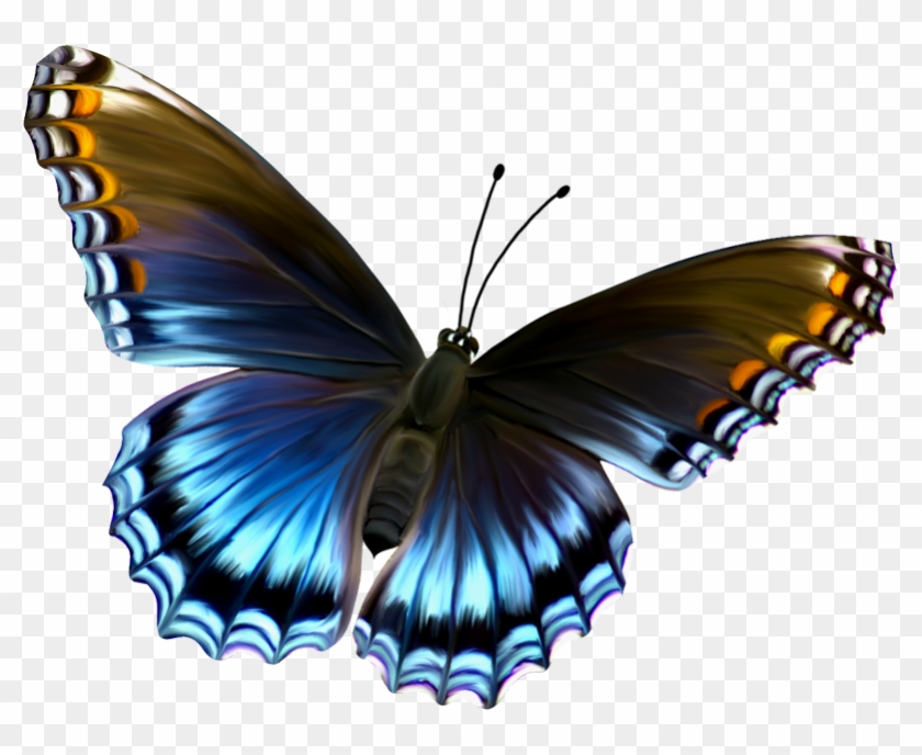 Beautiful Blue And Brown Butterfly Png Clipart - Blue And Brown Butterflies #216916