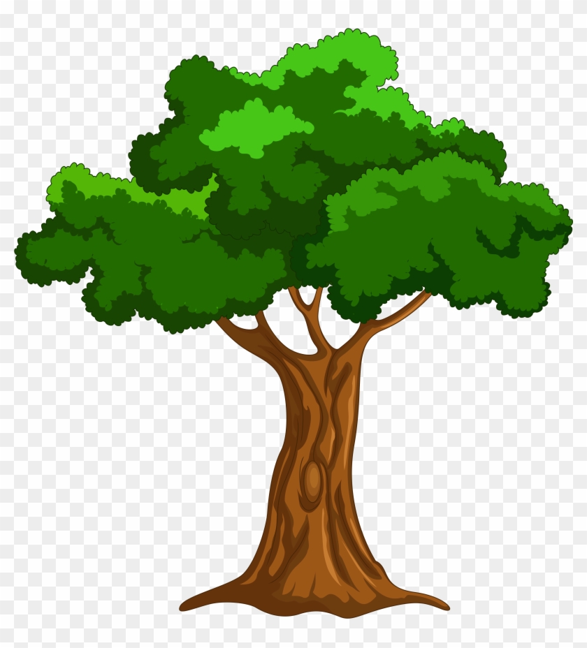Largest Cartoon Pictures Of A Tree Png Clip Art Best - Cartoon Picture Of Tree #217016