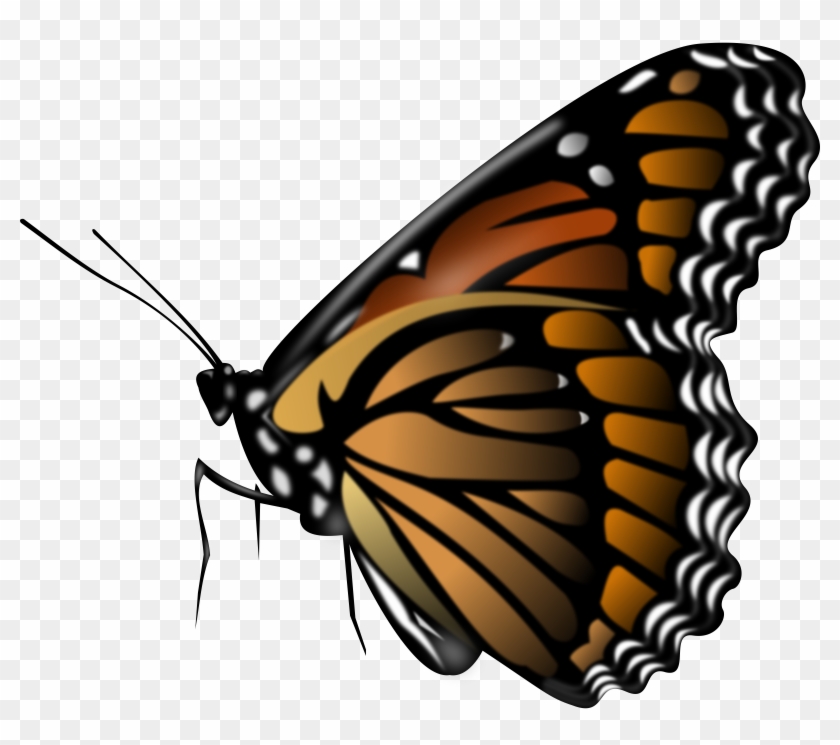Monarch Butterfly Clipart - Butterfly Png #217029