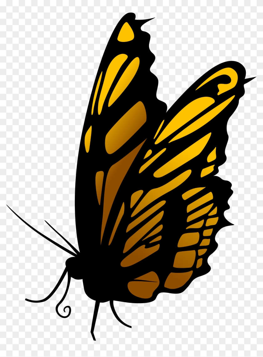 Butterfly Png Clip Art - Butterfly Png Clip Art #217058
