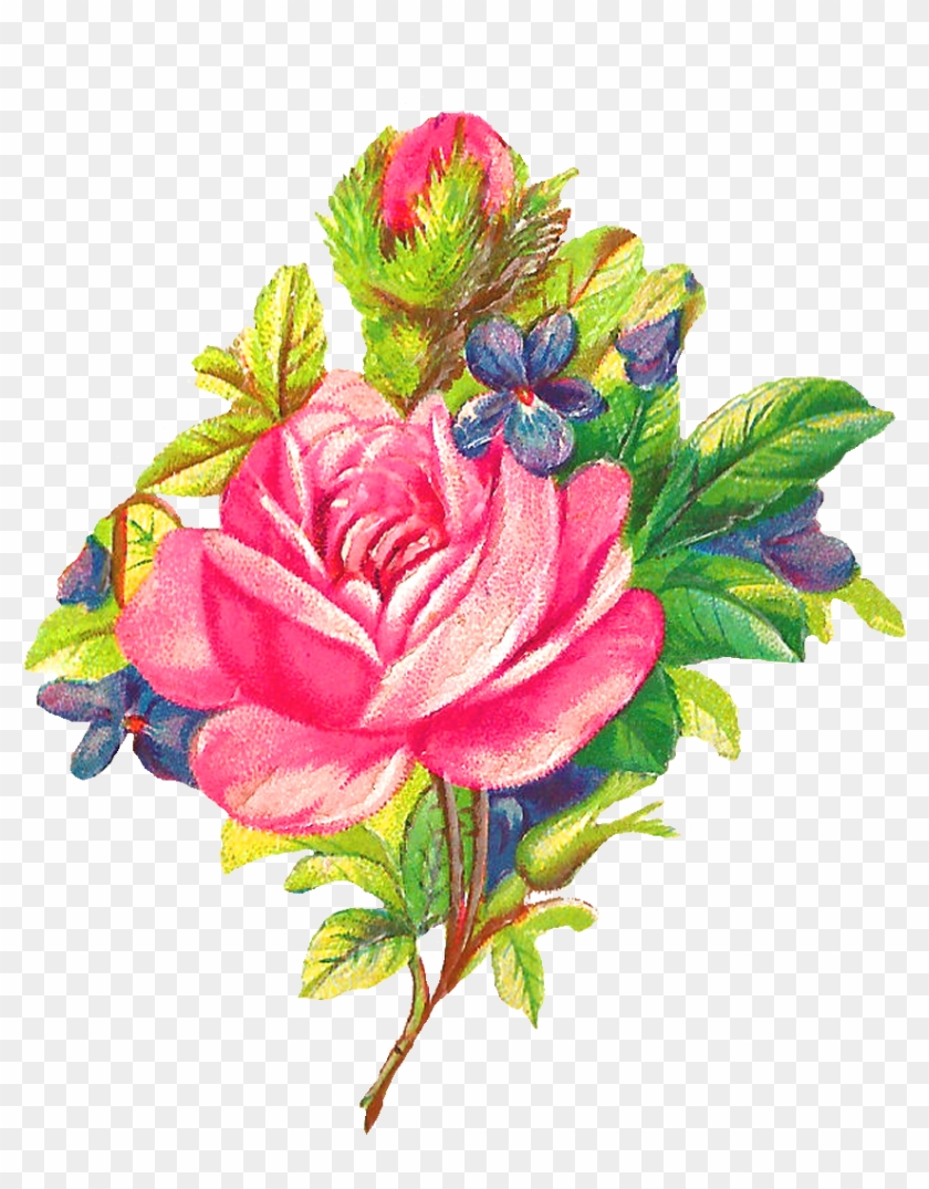 Pink Rose Clip Art - Digital Flower #217557