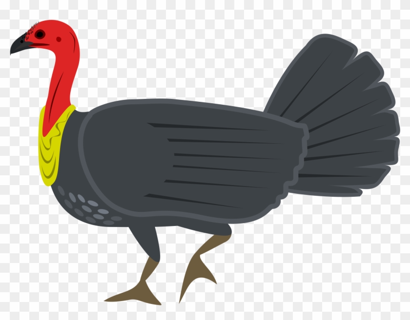 Brush-turkey - Bush Turkey Clipart #218017