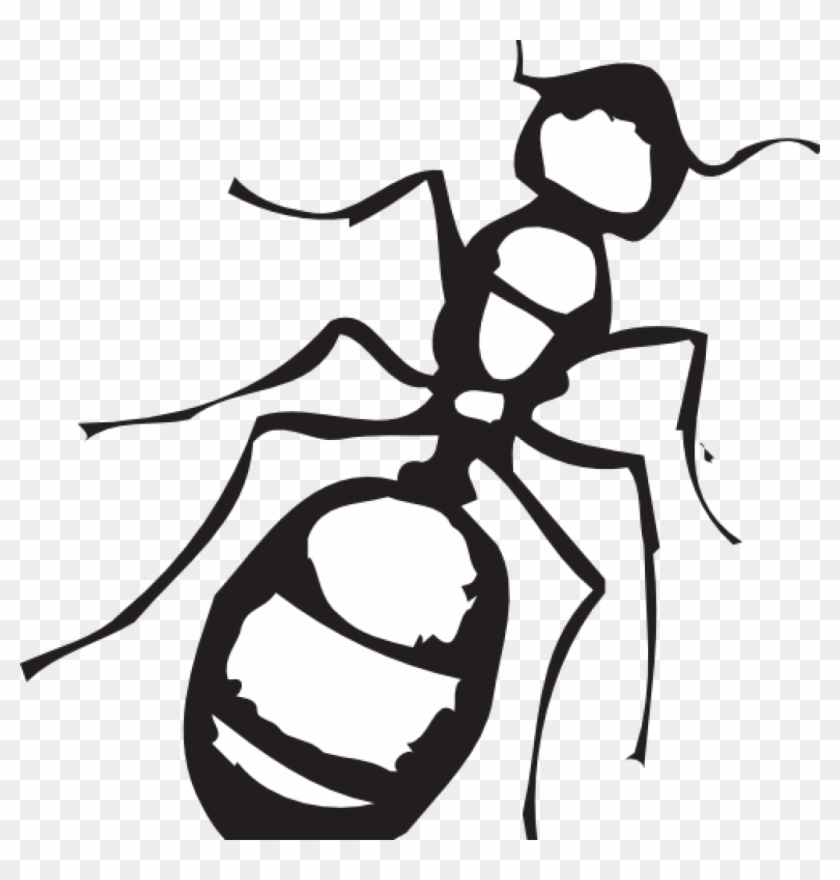 Ant Clipart Black And White Sketch Of An Ant Clip Art - Ant Black And White Clipart #218067