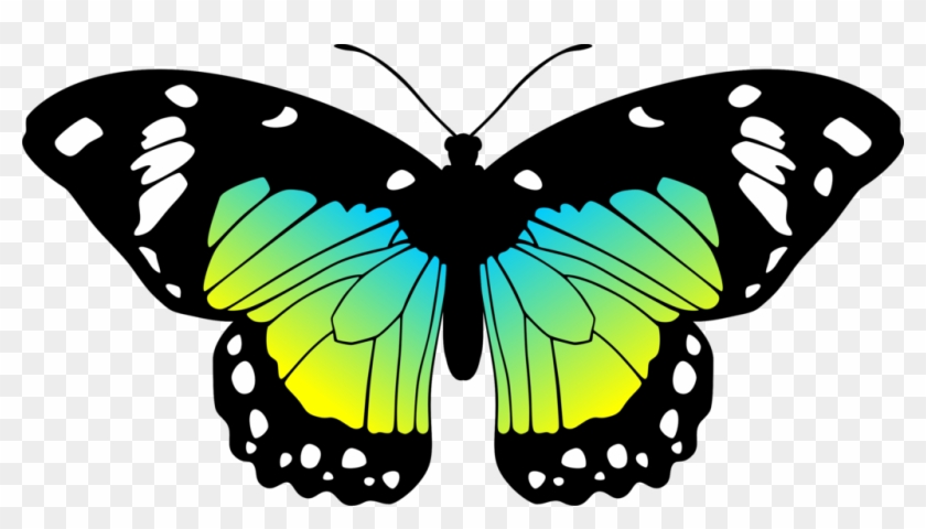 Moves Clipart Real Butterfly - Blue And Yellow Butterflies #218476