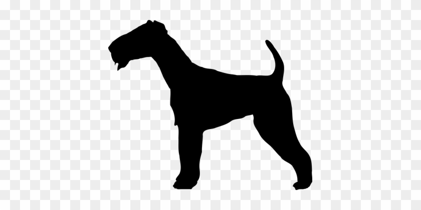 Terrier Dog Doggy Outline Animal Coat Shap - Irish Terrier Outline #218894
