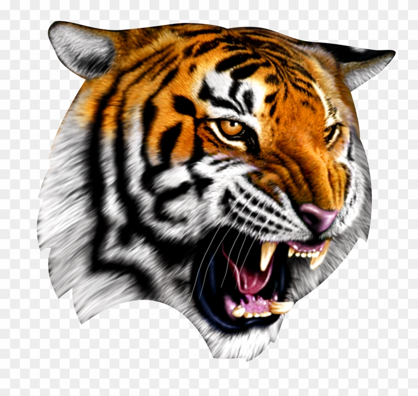 Cadworxlive Gives You Access To 30,000 Quality Peices - Tirecoverpro Striped Tiger Growling Spare Tire Cover #218917