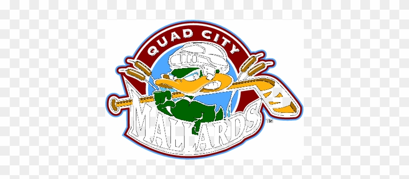 Quad City Mallards - Quad City Mallards #1387945
