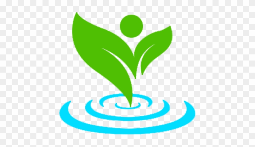 Fountain Springs Investment - Fountain Springs Investment #1388086