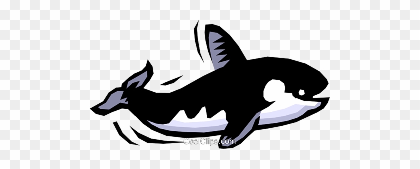 Killer Whale - Transparent Orca Swimming Gif #1388241