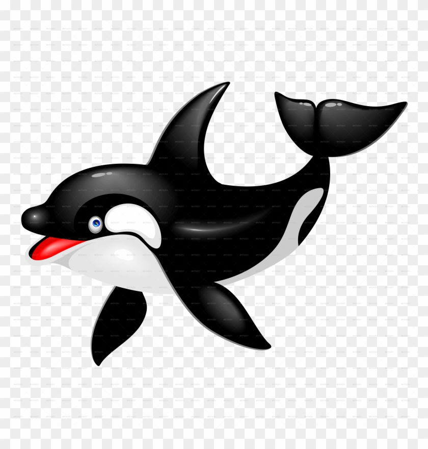 Orca Cartoon Clipart Killer Whale Cetacea - Killer Whale Cartoon Png #1388243