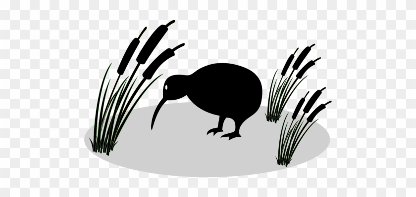 Vector Graphics - Kiwi Bird Cartoon #1388966