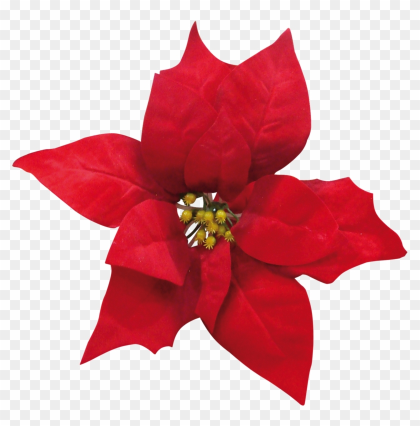 Flower Clipartchristmas Themes - Flores Rojas Navidad #1389204