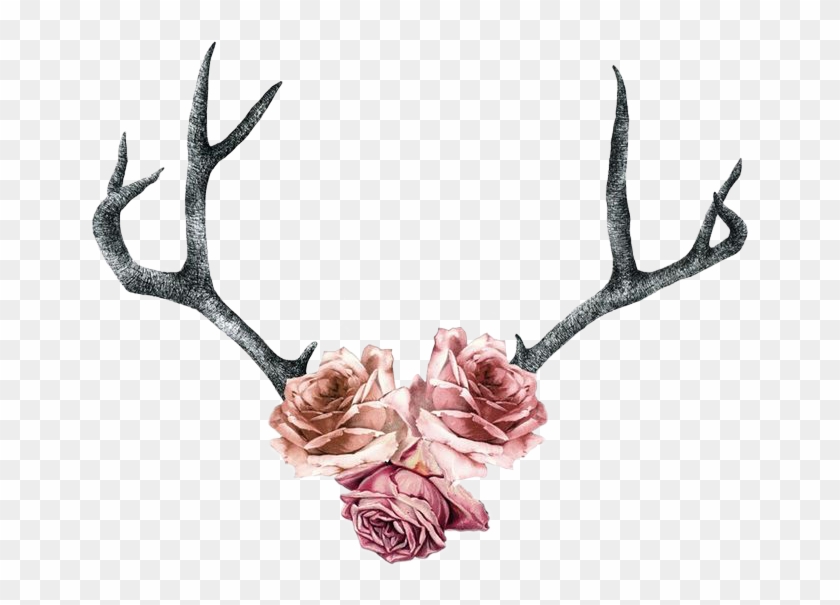 Rose Roses Antler Boho Pink Flowers - Deer Antler Tattoo With Flowers #1389208