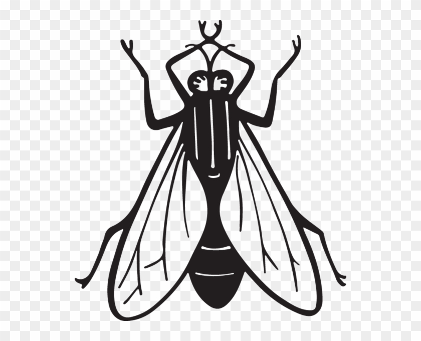 Fly Clipart Insect - Art Print: Pop Ink - Csa Images' Housefly, 12x12in. #1389227