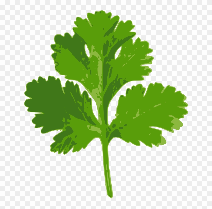 Coriander Parsley Indian Cuisine Herb Ghormeh Sabzi - Clip Art Coriander Leaf #1389554