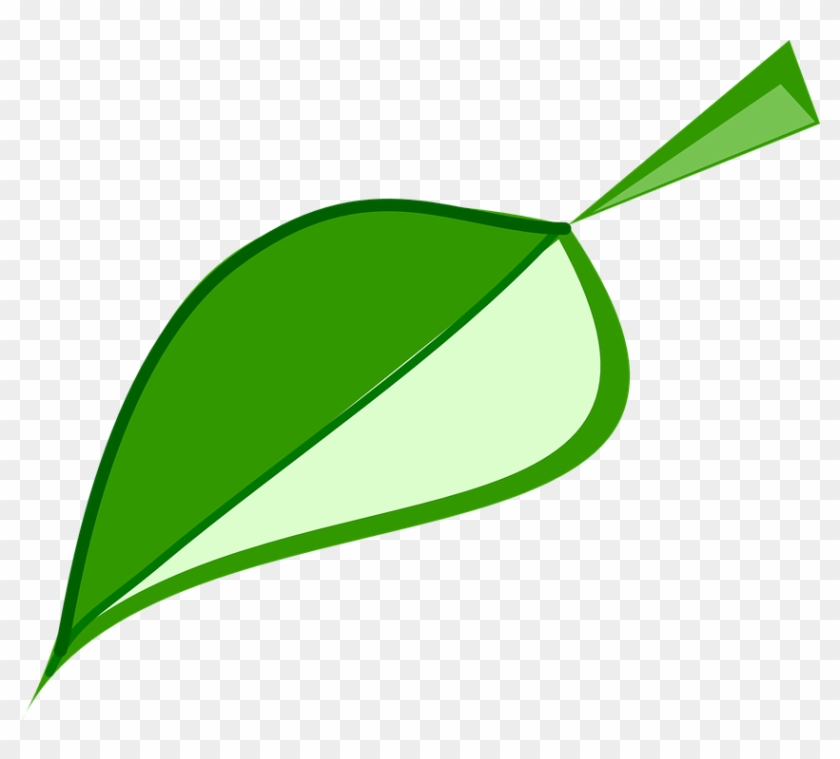 Leaf Green Environment - Hoja Verde Medio Ambiente #1389564