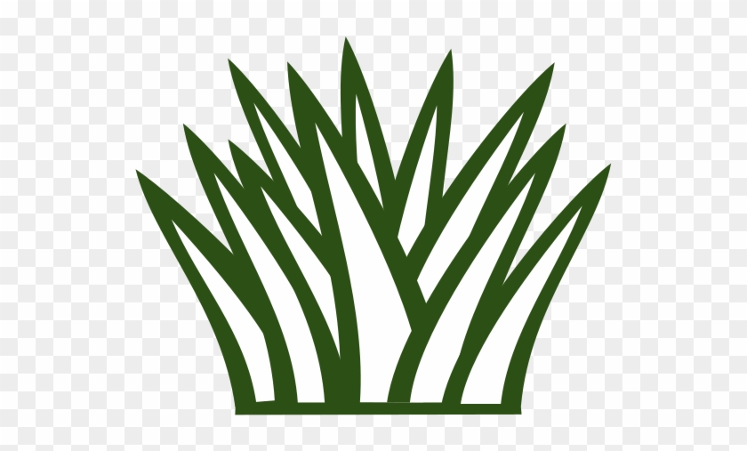 Green Bush Clip Art #1389634
