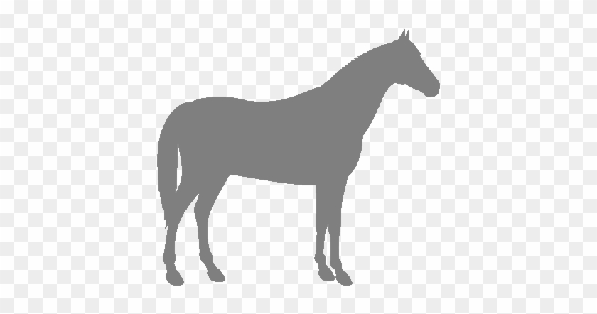 Jutland Horse - Horse Icon Grey #1389651