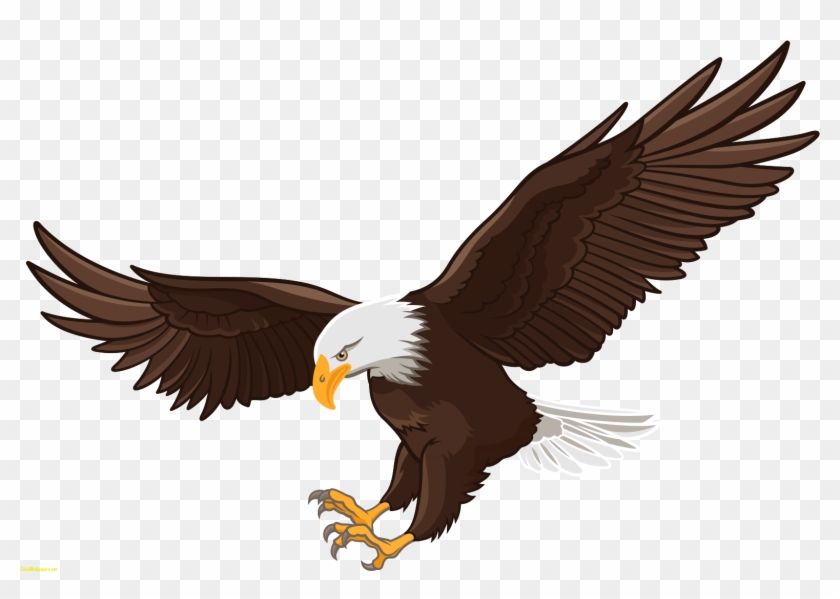 Svg Download Falcon Clipart Eagle Landing - Transparent Background Eagle Clipart #1389698